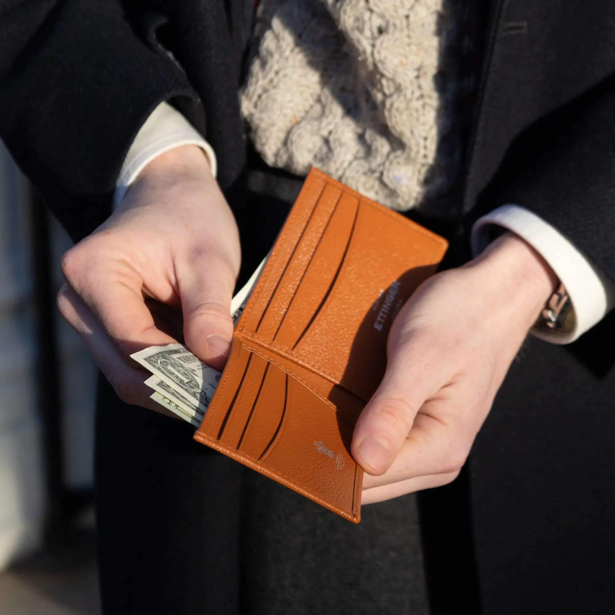 Capra Dollar Wallet with 6 C/C - Image 15