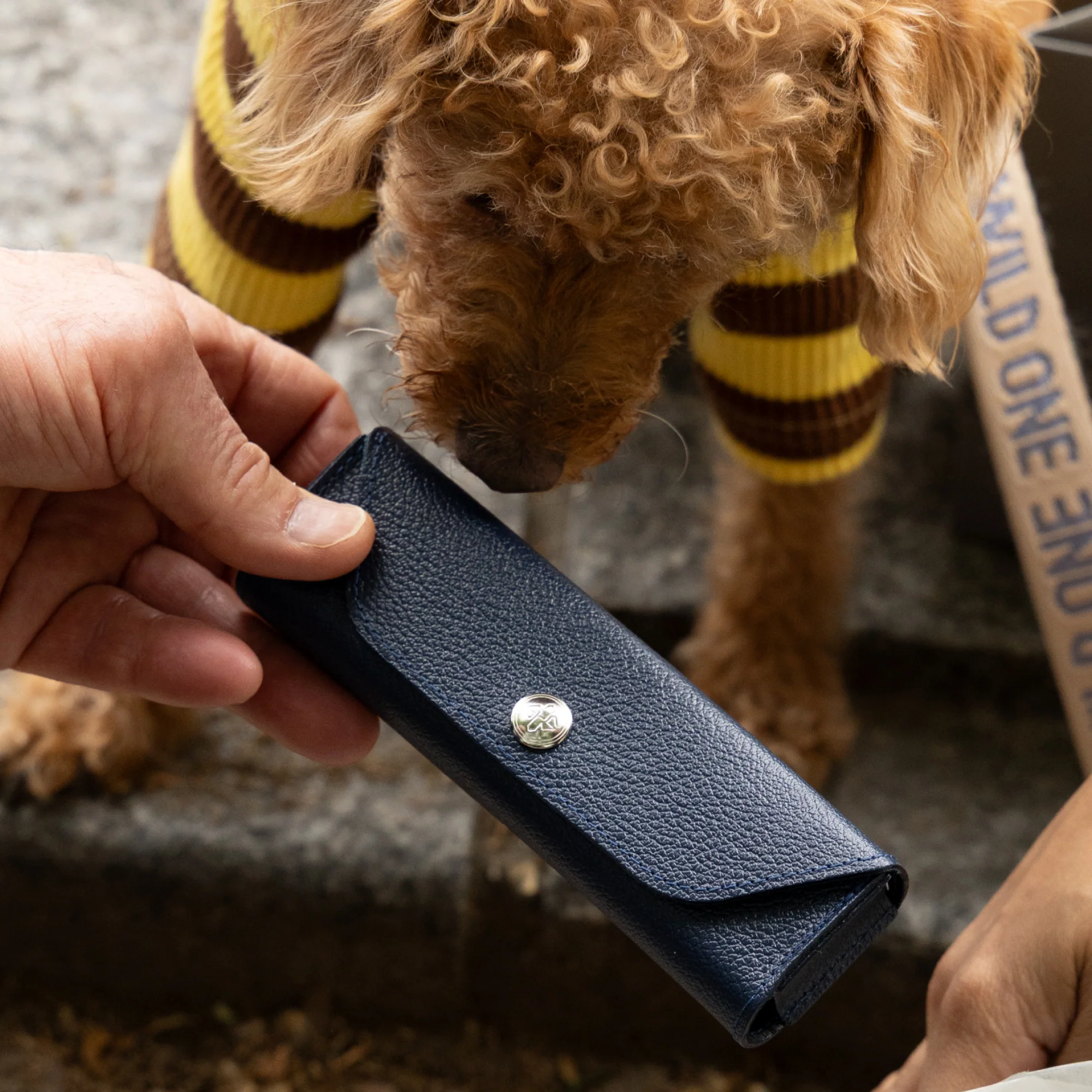 Capra Small Pet Pill Case - Image 35